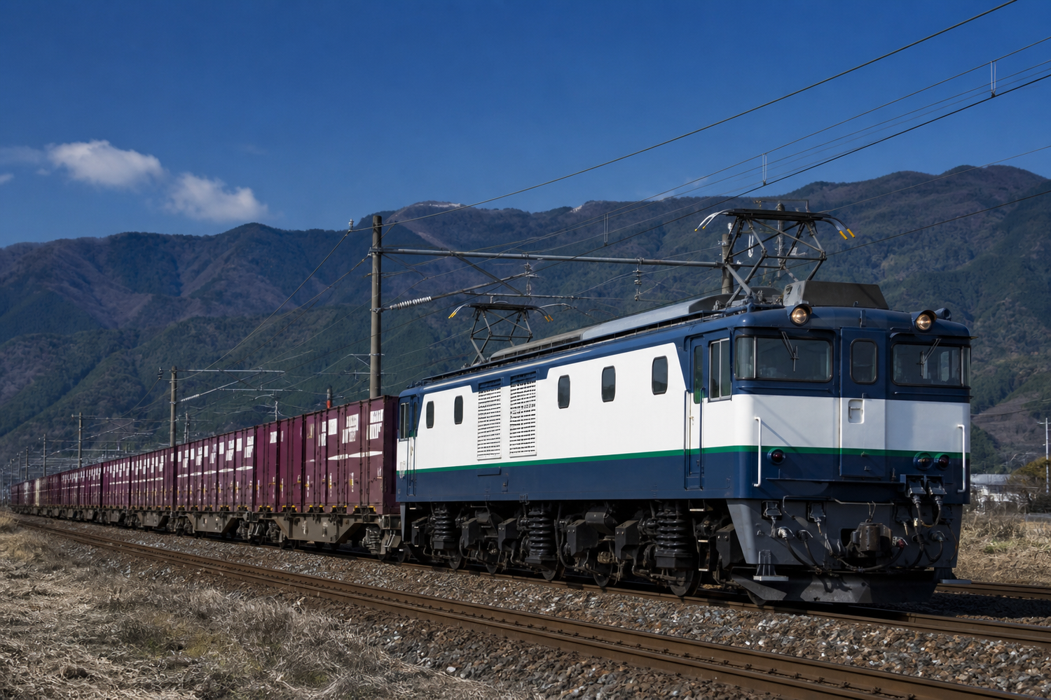 走行する貨物列車